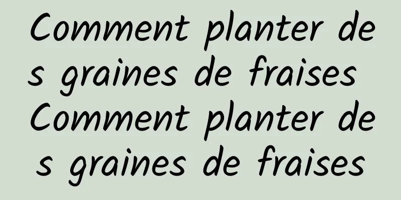 Comment planter des graines de fraises Comment planter des graines de fraises