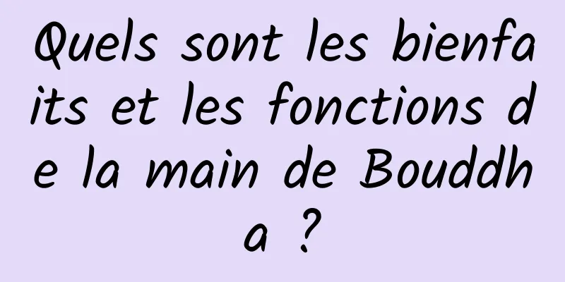 Quels sont les bienfaits et les fonctions de la main de Bouddha ?