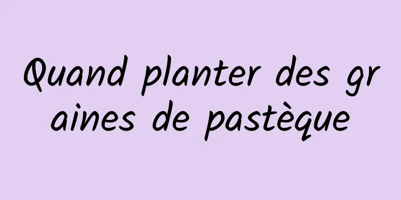 Quand planter des graines de pastèque