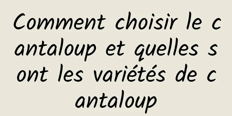 Comment choisir le cantaloup et quelles sont les variétés de cantaloup