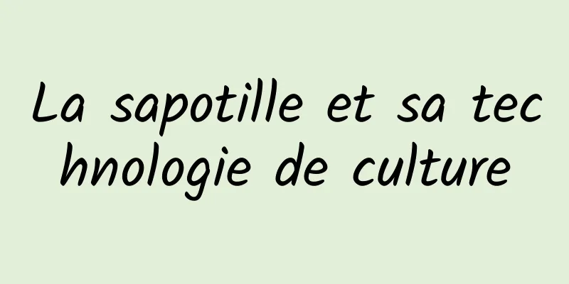 La sapotille et sa technologie de culture