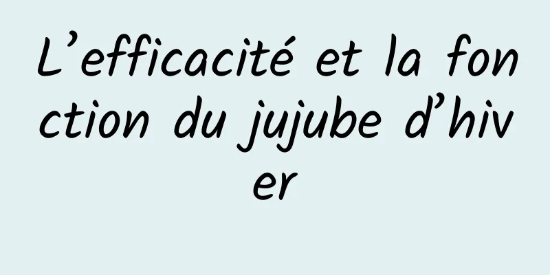 L’efficacité et la fonction du jujube d’hiver