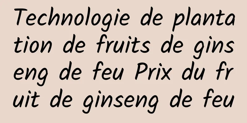 Technologie de plantation de fruits de ginseng de feu Prix du fruit de ginseng de feu