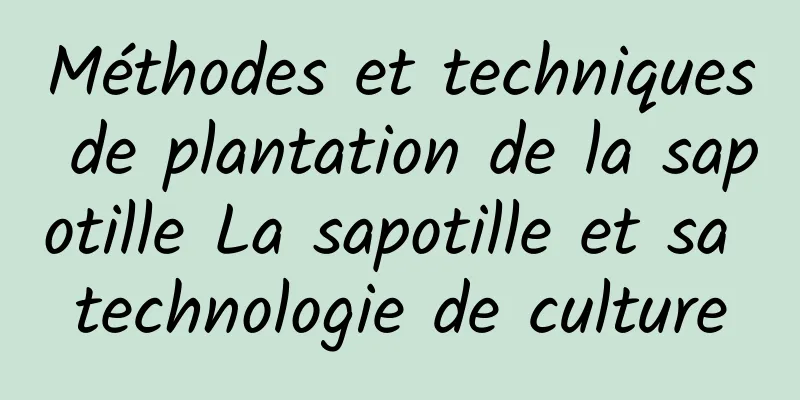 Méthodes et techniques de plantation de la sapotille La sapotille et sa technologie de culture