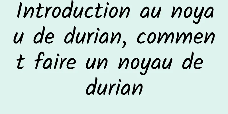 Introduction au noyau de durian, comment faire un noyau de durian