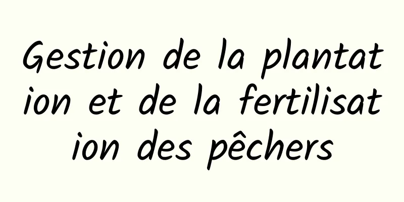 Gestion de la plantation et de la fertilisation des pêchers