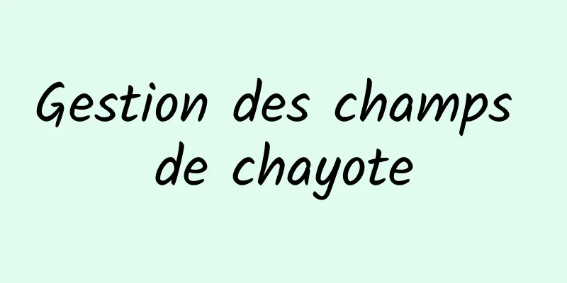 Gestion des champs de chayote