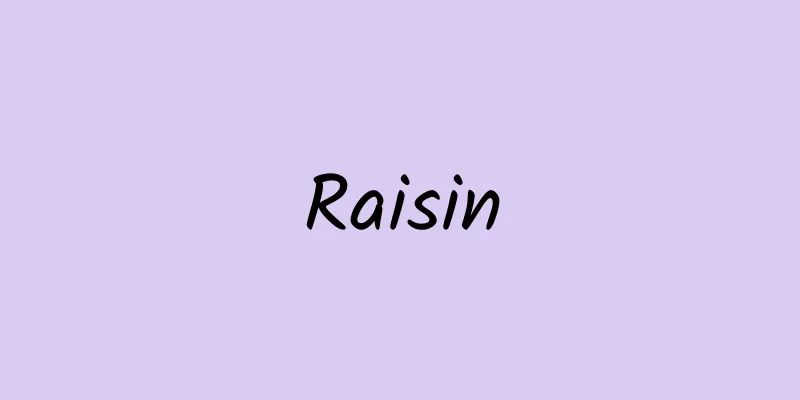 Raisin