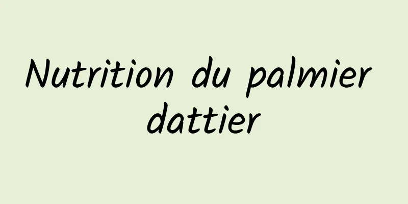 Nutrition du palmier dattier