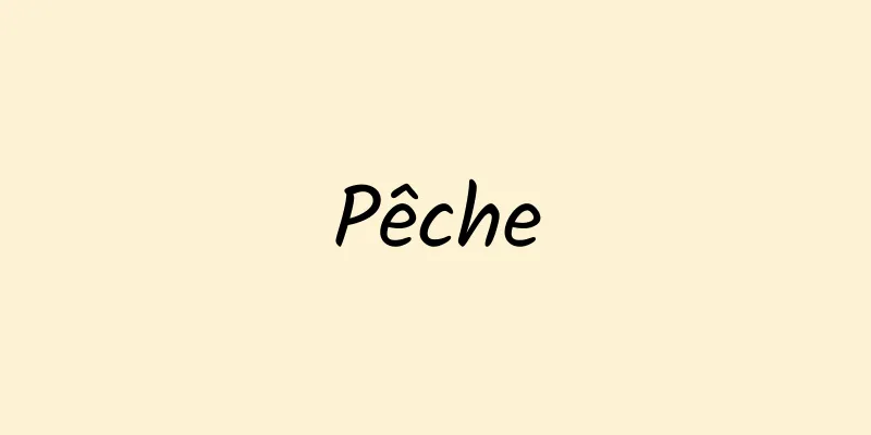 Pêche