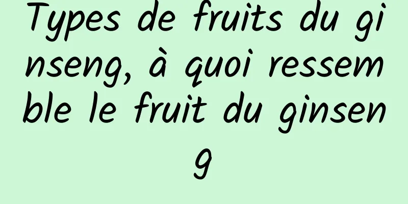 Types de fruits du ginseng, à quoi ressemble le fruit du ginseng