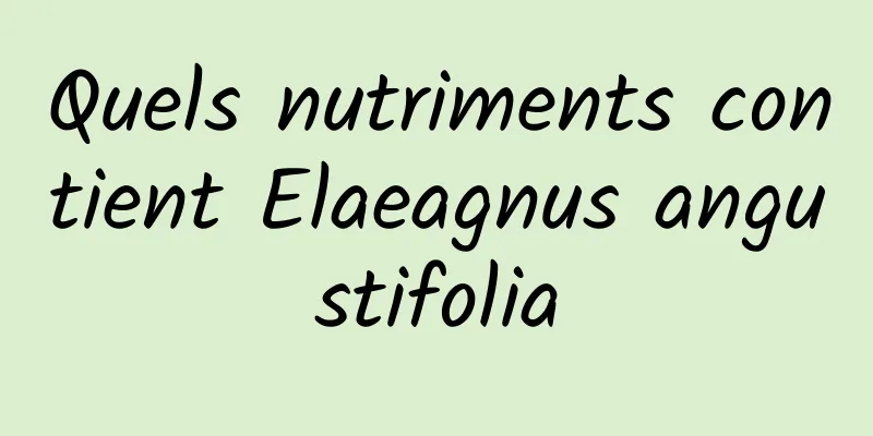 Quels nutriments contient Elaeagnus angustifolia