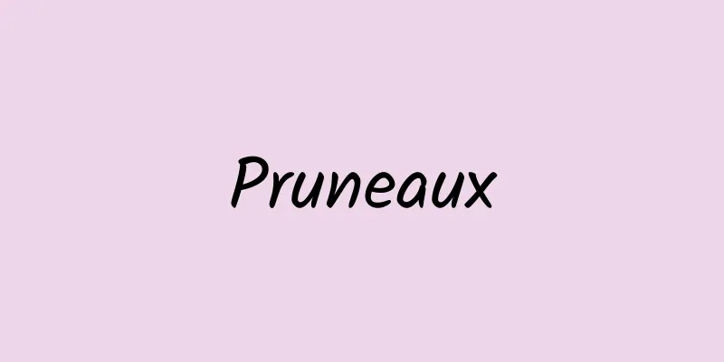 Pruneaux