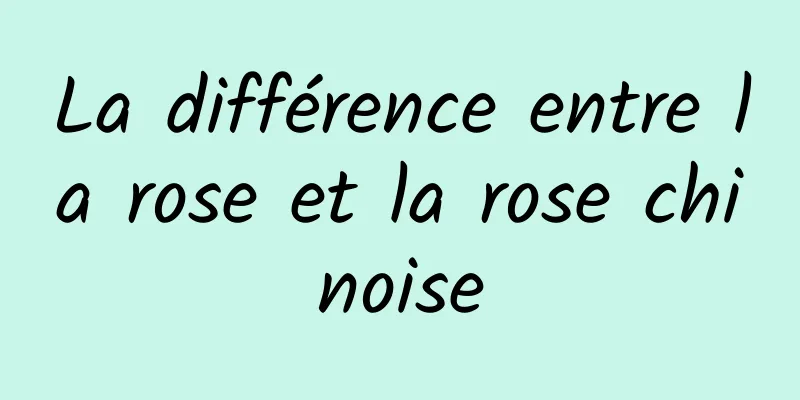 La différence entre la rose et la rose chinoise