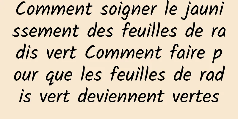 Comment soigner le jaunissement des feuilles de radis vert Comment faire pour que les feuilles de radis vert deviennent vertes