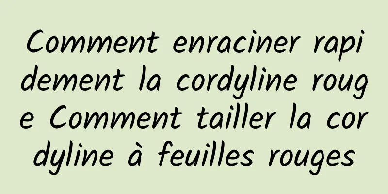 Comment enraciner rapidement la cordyline rouge Comment tailler la cordyline à feuilles rouges