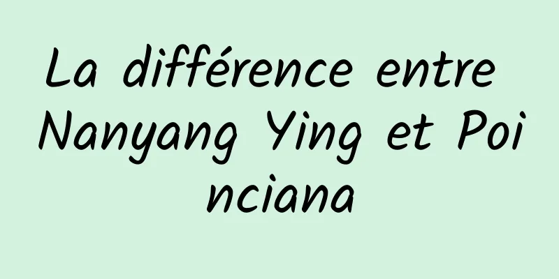 La différence entre Nanyang Ying et Poinciana