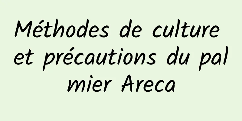 Méthodes de culture et précautions du palmier Areca