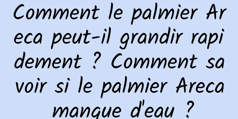 Comment le palmier Areca peut-il grandir rapidement ? Comment savoir si le palmier Areca manque d'eau ?