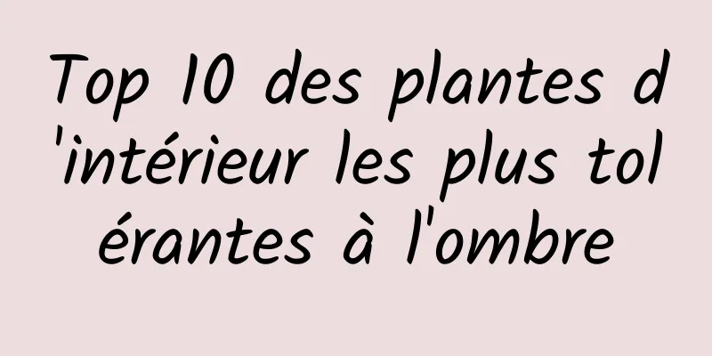 Top 10 des plantes d'intérieur les plus tolérantes à l'ombre