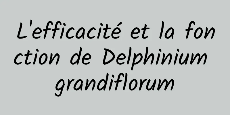 L'efficacité et la fonction de Delphinium grandiflorum