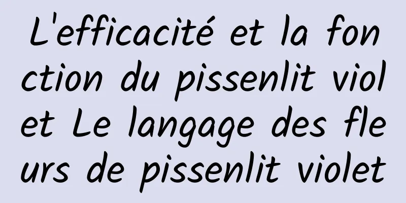 L'efficacité et la fonction du pissenlit violet Le langage des fleurs de pissenlit violet