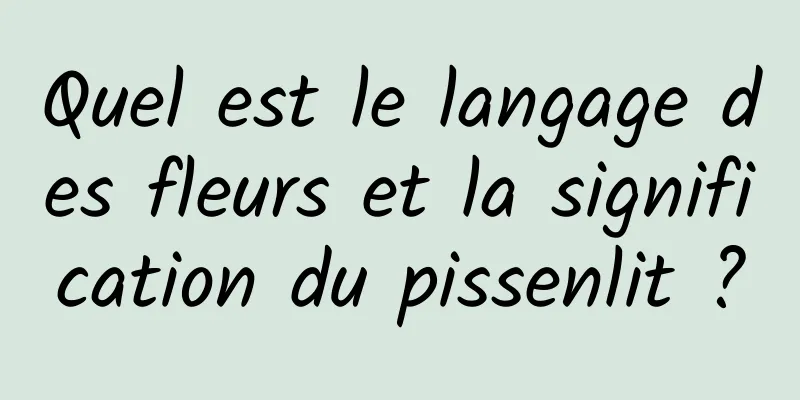 Quel est le langage des fleurs et la signification du pissenlit ?