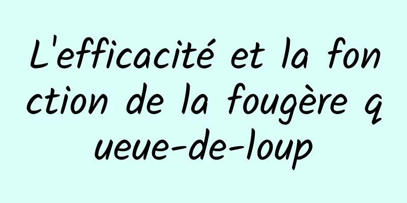 L'efficacité et la fonction de la fougère queue-de-loup