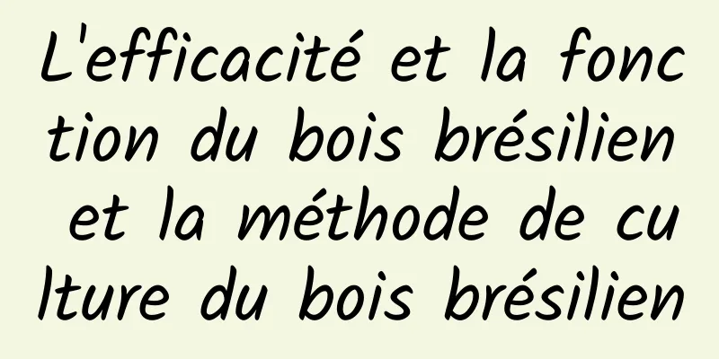 L'efficacité et la fonction du bois brésilien et la méthode de culture du bois brésilien