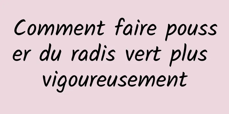 Comment faire pousser du radis vert plus vigoureusement