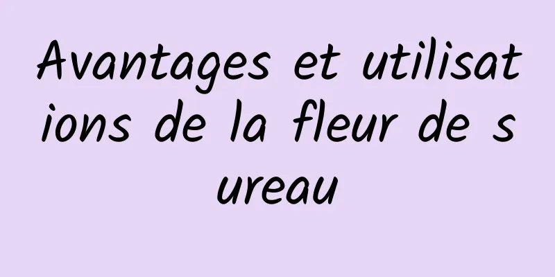 Avantages et utilisations de la fleur de sureau