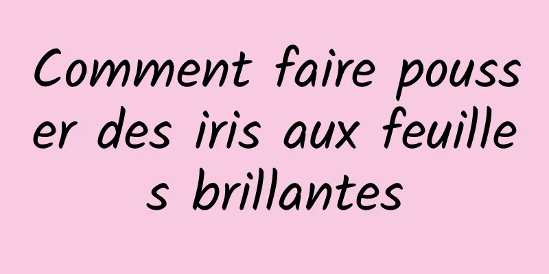 Comment faire pousser des iris aux feuilles brillantes