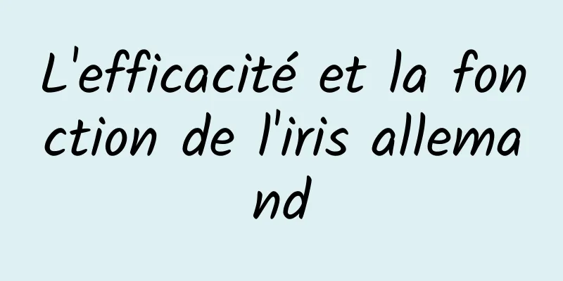 L'efficacité et la fonction de l'iris allemand