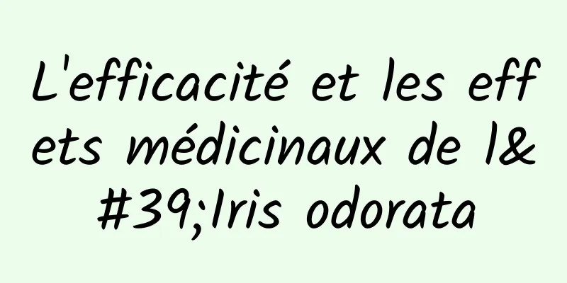 L'efficacité et les effets médicinaux de l'Iris odorata