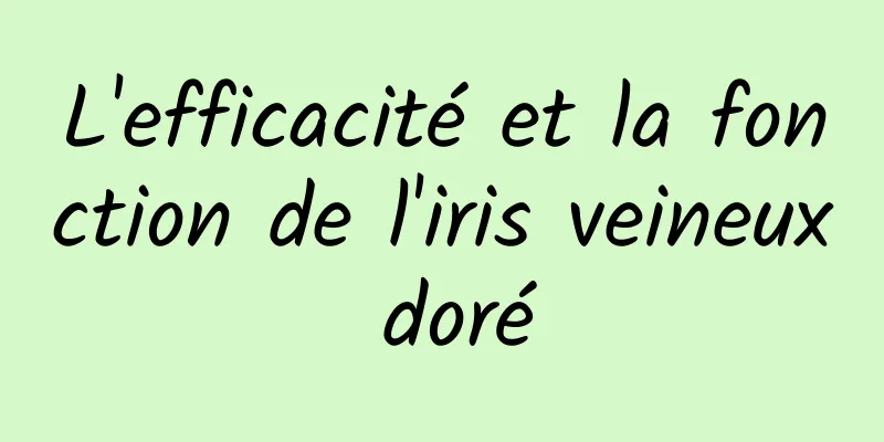 L'efficacité et la fonction de l'iris veineux doré