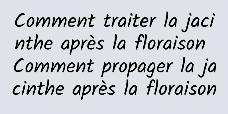 Comment traiter la jacinthe après la floraison Comment propager la jacinthe après la floraison