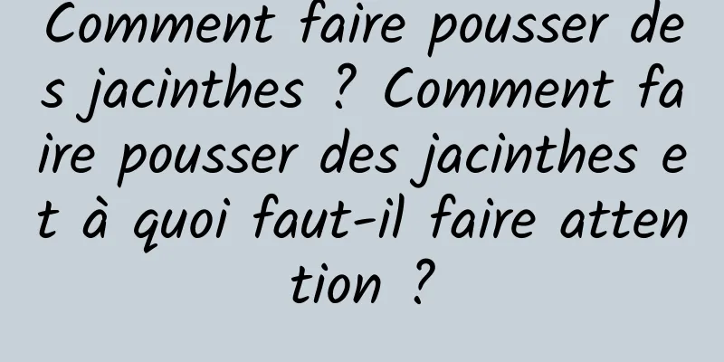 Comment faire pousser des jacinthes ? Comment faire pousser des jacinthes et à quoi faut-il faire attention ?