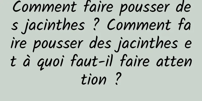 Comment faire pousser des jacinthes ? Comment faire pousser des jacinthes et à quoi faut-il faire attention ?