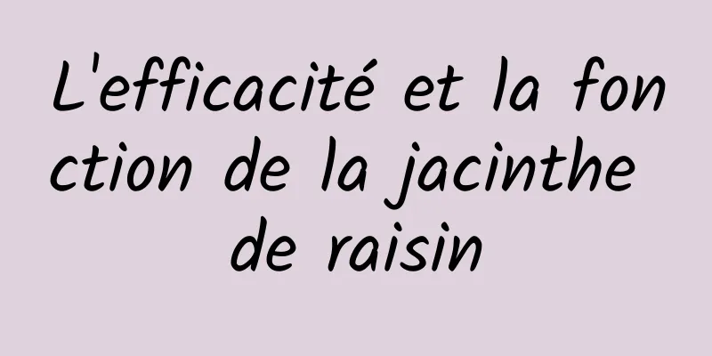 L'efficacité et la fonction de la jacinthe de raisin