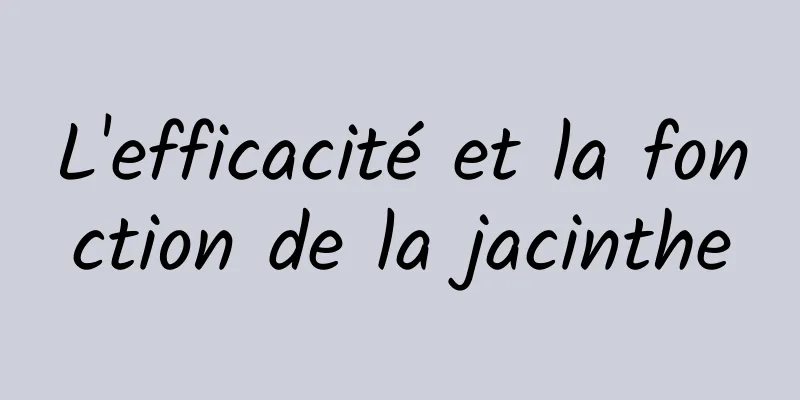 L'efficacité et la fonction de la jacinthe