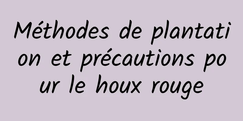 Méthodes de plantation et précautions pour le houx rouge