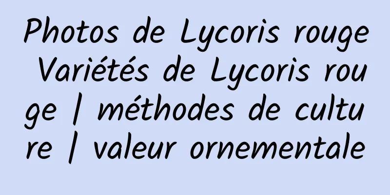 Photos de Lycoris rouge Variétés de Lycoris rouge | méthodes de culture | valeur ornementale