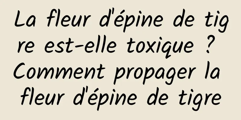 La fleur d'épine de tigre est-elle toxique ? Comment propager la fleur d'épine de tigre