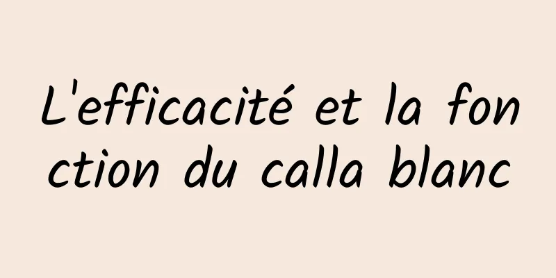 L'efficacité et la fonction du calla blanc