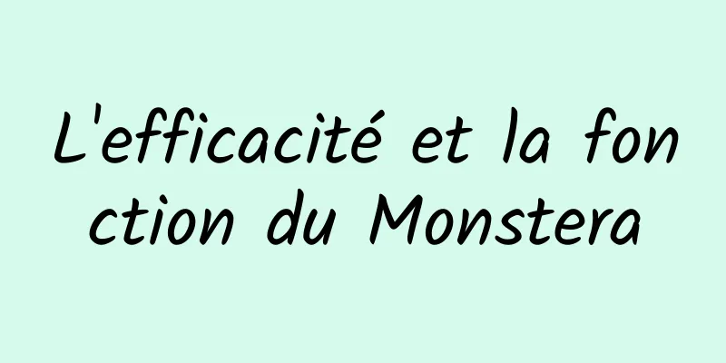 L'efficacité et la fonction du Monstera