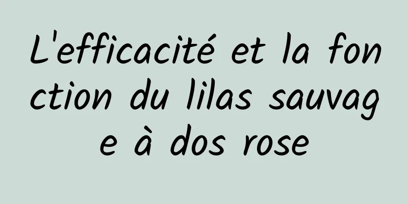 L'efficacité et la fonction du lilas sauvage à dos rose