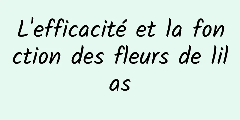 L'efficacité et la fonction des fleurs de lilas