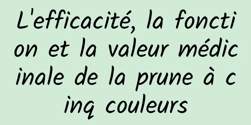 L'efficacité, la fonction et la valeur médicinale de la prune à cinq couleurs