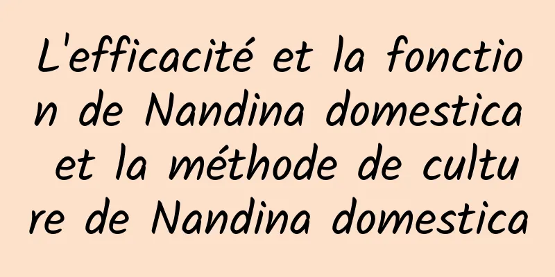 L'efficacité et la fonction de Nandina domestica et la méthode de culture de Nandina domestica