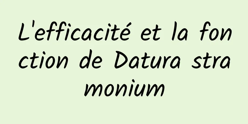 L'efficacité et la fonction de Datura stramonium